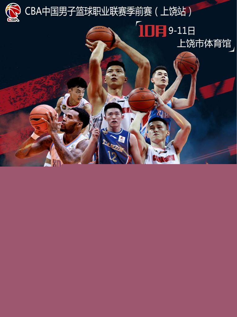 他职业生涯