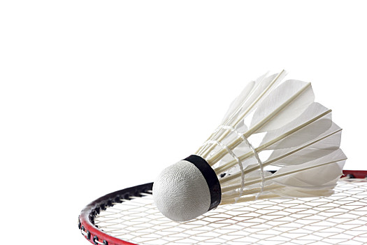 的年龄和成 的年龄和成