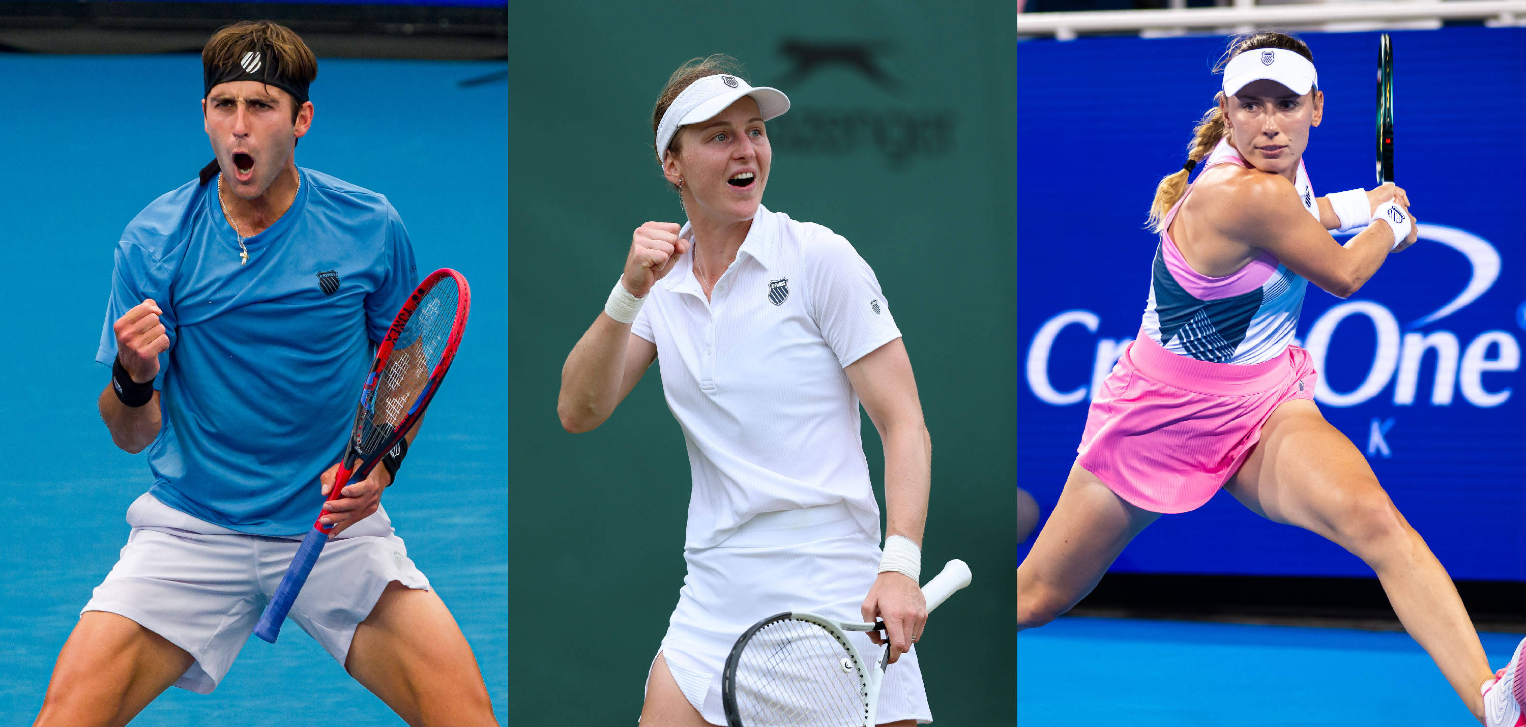 职业生涯的 职业生涯的